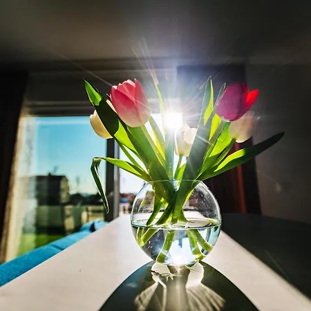 - With Summer Balcony And Parking *