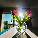 - With Summer Balcony And Parking *