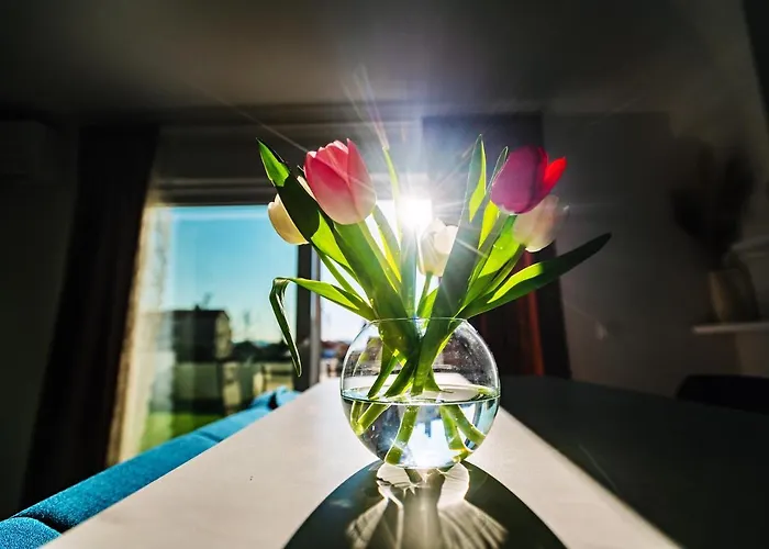 - With Summer Balcony And Parking *